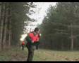 Hunting wildboar in France