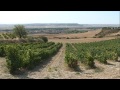 Bodegas Señorío de Valdesneros