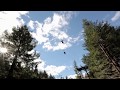 Zoom Ziplines