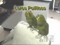 Loros Políticos