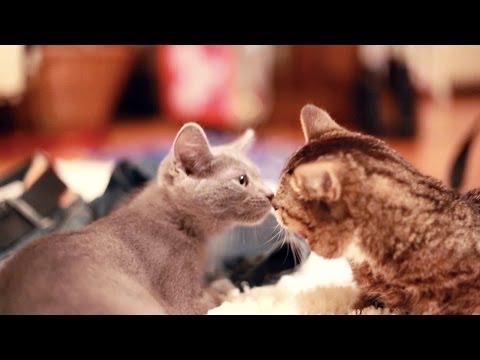 WHEN BUB MET SPOOKY