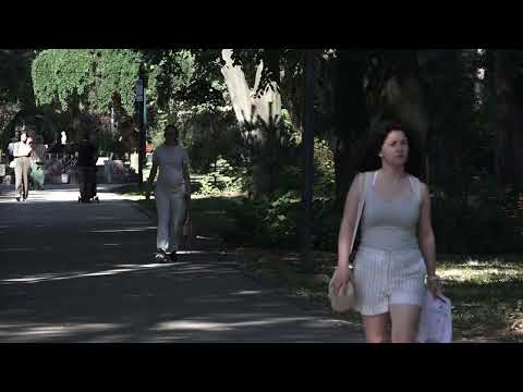 ВИСОКА КОНЦЕНТРАЦИЈА ПОЛЕНА АМБРОЗИЈЕ