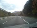 Mountain foilage
