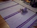 See Video