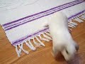 See Video