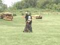 Toby,Buster & Falko Indian Creek Schutzhund Club July 1st