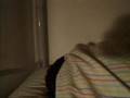 videos de Insomnia (Lo scherzo)