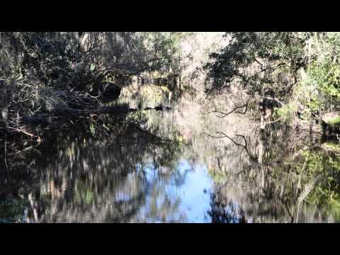 Edward Medard & Lithia Springs Parks near Tampa Florida Produced by Erick F Dircks