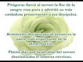 CASTIDAD CIENTIFICA