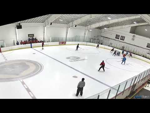 Nikita Kalifatidi 19 red goal