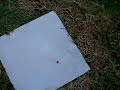 Frozen paintballs