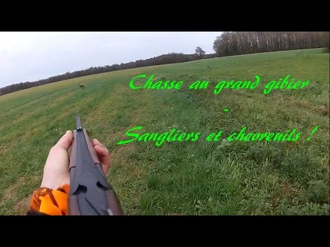 chasse - Salut à tous et à toutes ! Tout d'abord je vous souhaite une bonne et heureuse année 2015. Ensuite, je suis heureux de vous présenter ma toute dernière vidéo...