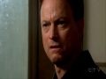 csi ny 333
