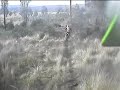 KDX 200 Repulse Dam KDX 200 Repulse Dam