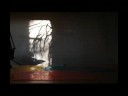 the photo animation represents the light-shadow phenomenons of a room and their artificial modifications. the camera's two properties (reproductivity and productivity) show up simultaneously: the camera records a moment, but on the film the phases don't appear in the way they used to (in the reallity). in this manner the light-shadow shapes can lose their original meanings but they can gain new ones.
the film won one of the magyar telev�zi�'s (hungarian television) prices at the 15th national students' filmfestival (2008).

vaszilij kandinszkij eltitkolt l�tom�sa

a fot�anim�ci�n egy szob�ban tapasztalhat� f�ny-�rny�k jelens�gek, illetve azok mesters�ges m�dos�t�sai l�that�ak. a kamera reprodukt�v �s produkt�v tulajdons�ga egyar�nt �rv�nyes�l: a f�nyk�pez?g�p r�gz�t egy-egy pillanatot, �m a mozg�k�pen az egyes f�zisok m�r nem a val�s�gban tapasztalhat� m�don jelennek meg. �gy a f�ny-�rny�k form�k eredeti jelent�s�ket elvesz�thetik, de helyette �jakat nyerhetnek.
a film elnyerte a magyar telev�zi� egyik d�j�t a 15. orsz�gos di�kfilmszeml�n (2008).