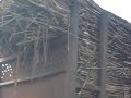 MVI_1056.AVI