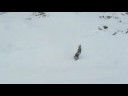 chrash la plagne