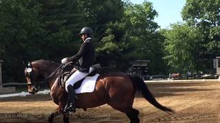Remedial Horse Successfully Retrained!