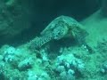 marsa alam brayka bay