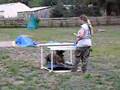 Boerboel video
