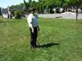 Bullwhip für Dummies - Teil 1 - Forward Crack