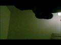 videos de Today for u - Rent