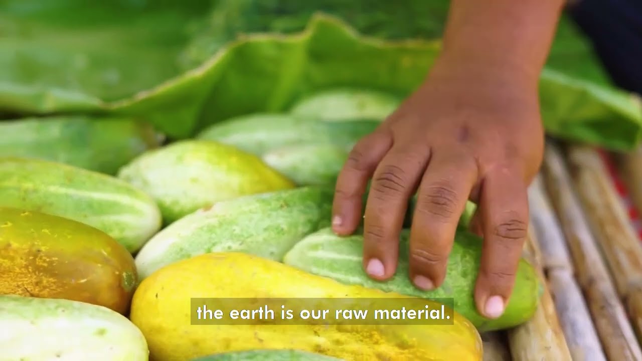 Coordinator of Territorial Women Leaders of Mesoamerica