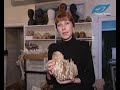 The unique skeleton of a cave bear is found in Bashkiria