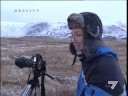 REALITY - AL POLO DELLA CRISI