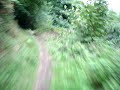 Malvern Hills Bracken Run