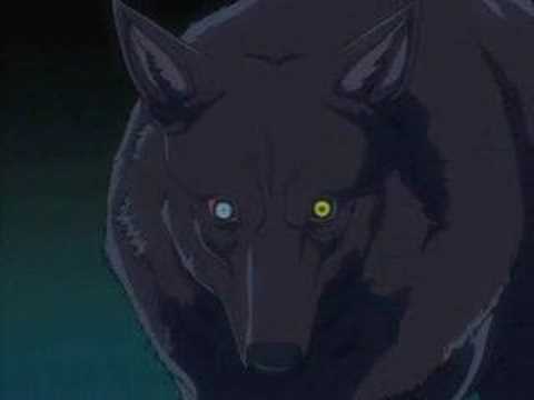 Kiba Vs Darcia