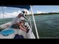 Просмотр видео