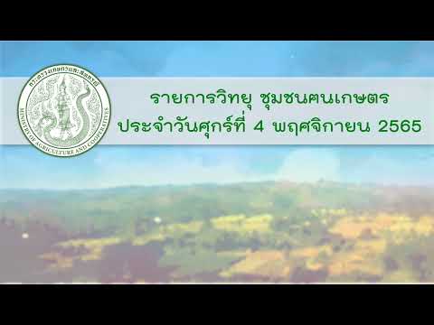 รายการวิทยุชุมชนฅนเกษตรประจำวันที่ 4 พฤศจิกายน 2565