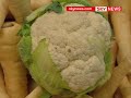 Weird and wonderful shaped veg are back! Weird and wonderful shaped veg are back!