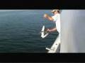 Shark Fishing in The Chesapeake Bay