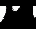 art du d�placement