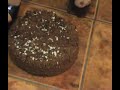 chocolate-cake-squish.html