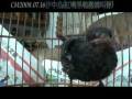 CM[2008 7 16-1]G