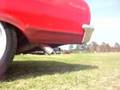 1964 Chevelle Startup and Rev