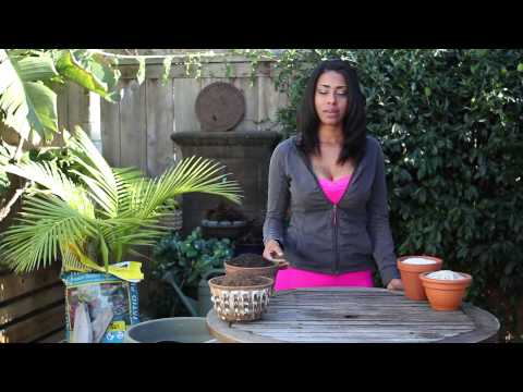 how to fertilize garden