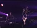 summerbirds in the cellar

