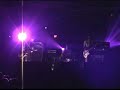 summerbirds in the cellar
