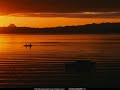 Sunlounger - Mediterranean Flower (Dance mix) Sunlounger - Mediterranean Flower (Dance mix)