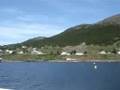 O'Brien's Whale and Bird Tours, Newfoundland
