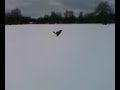 A Freight Train in the Snow