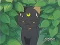 Sailor Moon Star 181 Dublado em Portugu�s Br 1 parte 1/2
