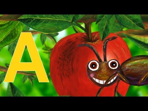 ant -