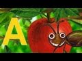 A is for Ant