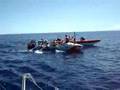 Oyster Shack Ocean Challenger