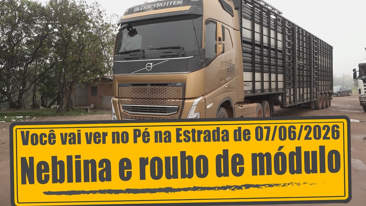 Neblina e furto de módulo